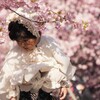 満開の桜の下で❣