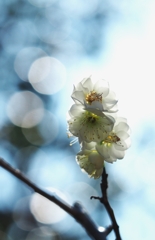 優しくみつめて、、、