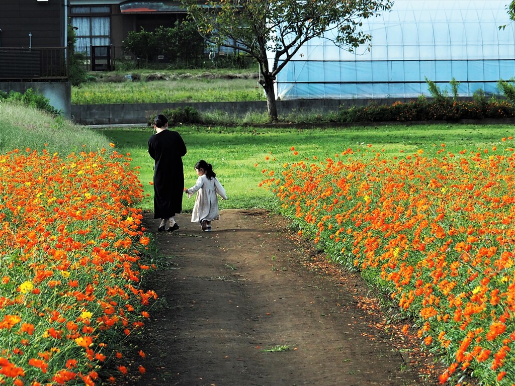 ママとお散歩かな♡♡
