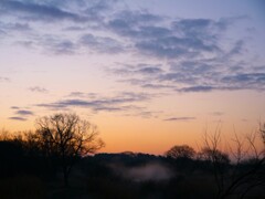 利根川の朝・2月