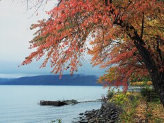 支笏湖の秋彩