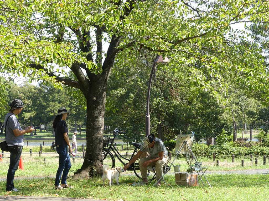 葛飾区水元公園6