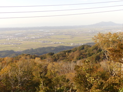 長岡市八方台7
