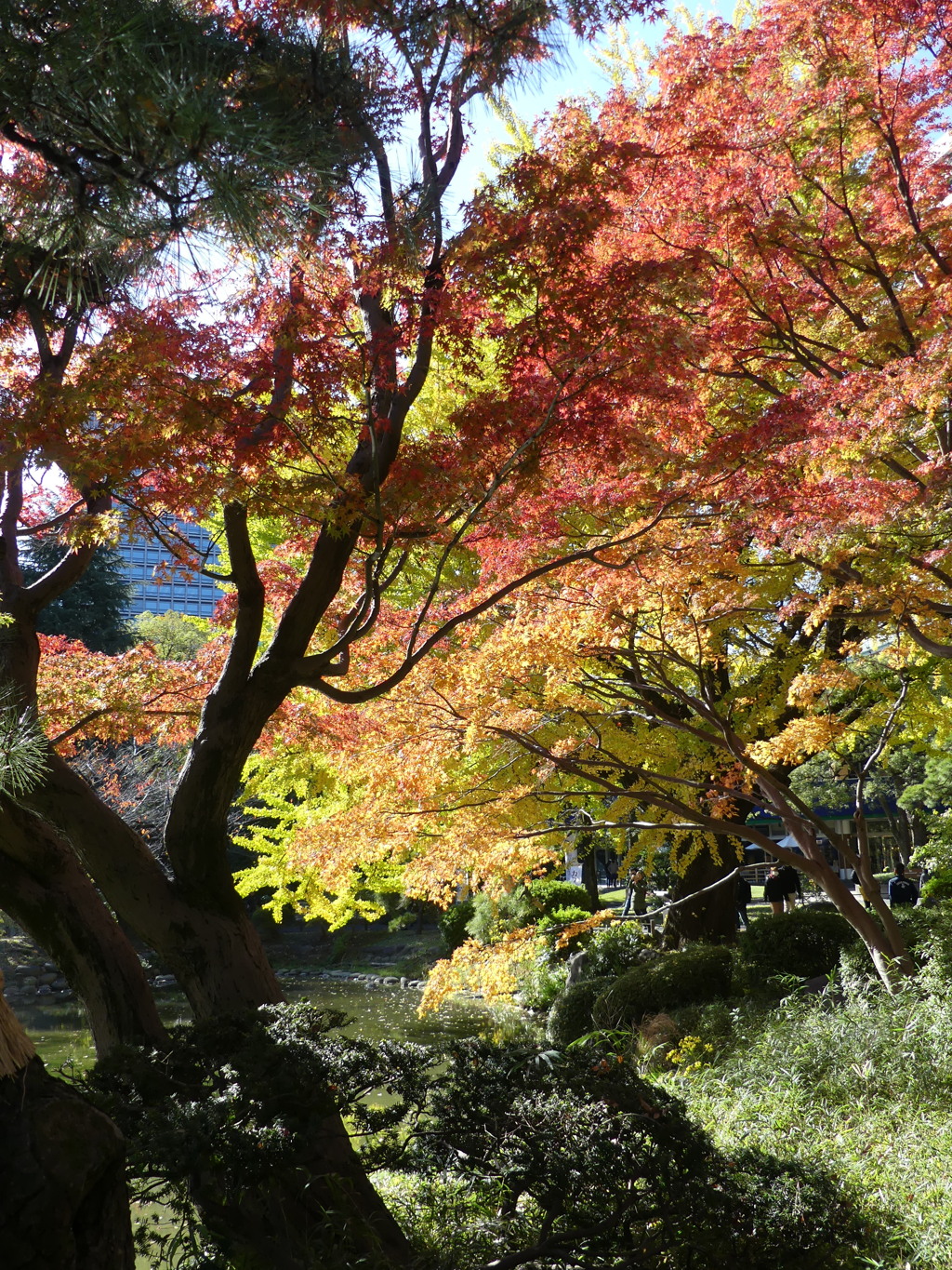 千代田区日比谷公園4