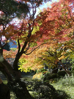 千代田区日比谷公園4