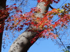 千代田区日比谷公園10