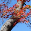 千代田区日比谷公園10