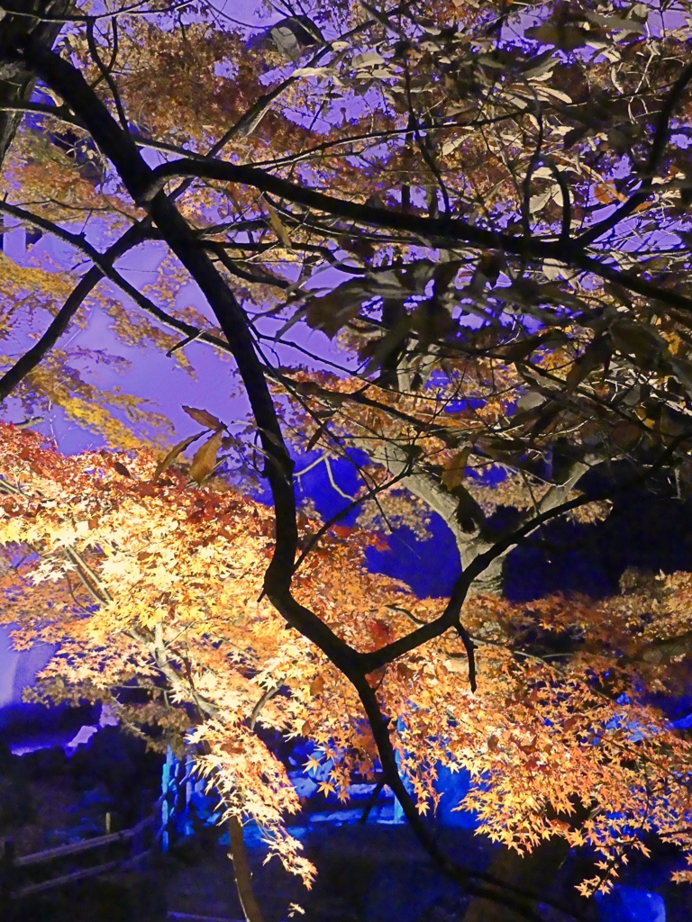 北区音無親水公園