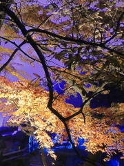 北区音無親水公園