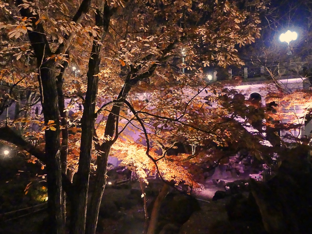 北区音無親水公園