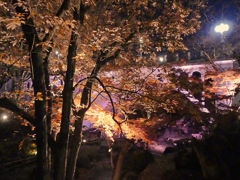 北区音無親水公園