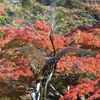 千代田区日比谷公園2