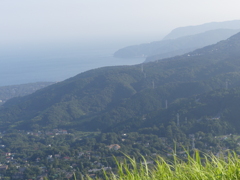 伊東市大室山3