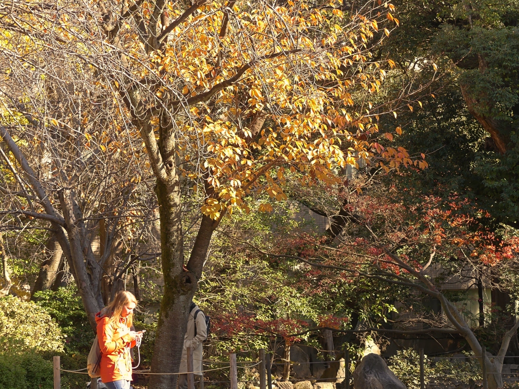 文京区根津神社3