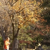 文京区根津神社3