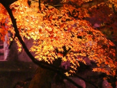 北区音無親水公園