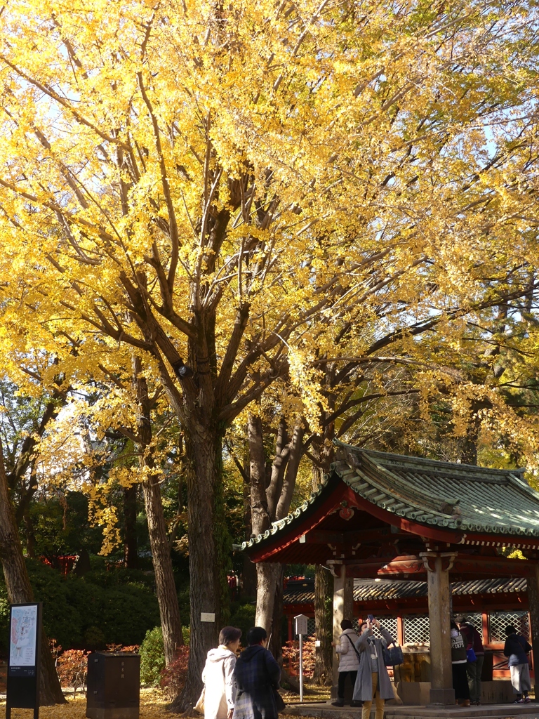 文京区根津神社8