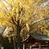 文京区根津神社8