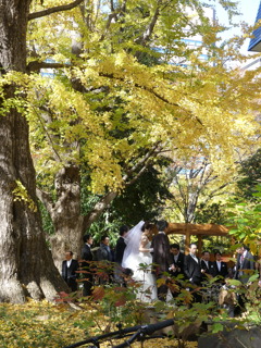 千代田区日比谷公園8