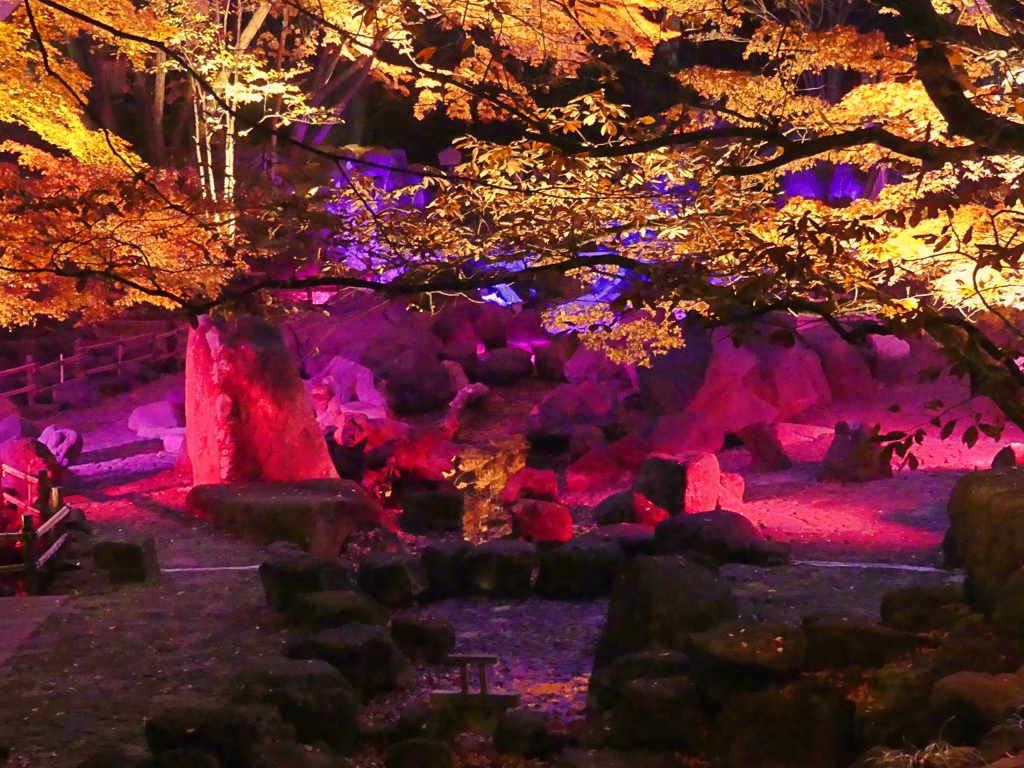 北区音無親水公園2
