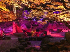 北区音無親水公園2