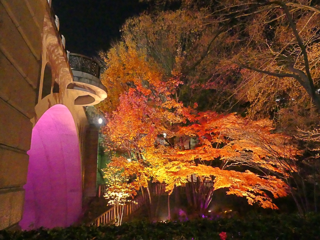 北区音無親水公園3