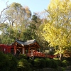 文京区根津神社6