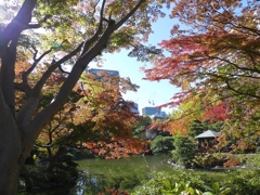千代田区日比谷公園5