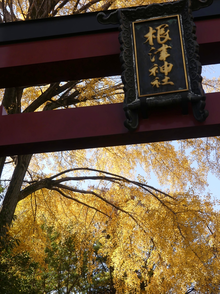 文京区根津神社7