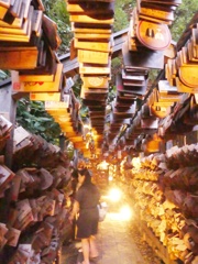 川越氷川神社1