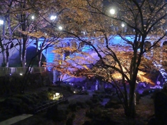 北区音無親水公園