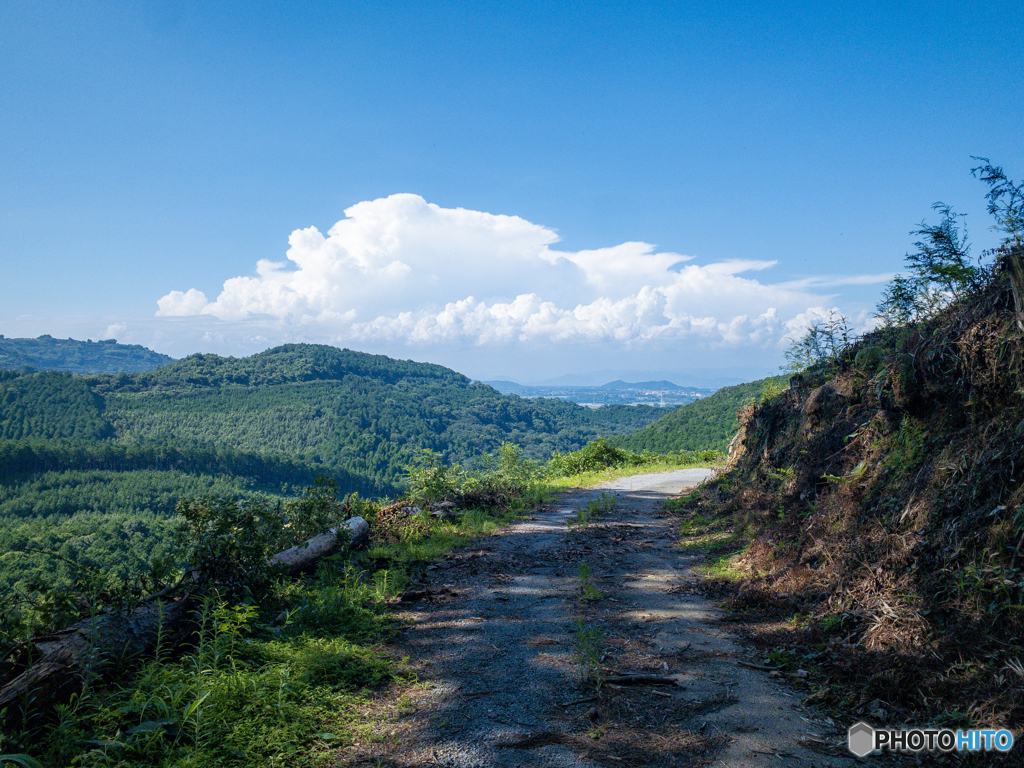 小萩山道中