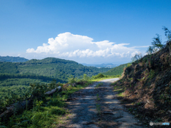 小萩山道中