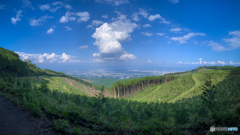 小萩山道中