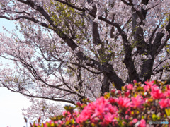 げんやま展望台１