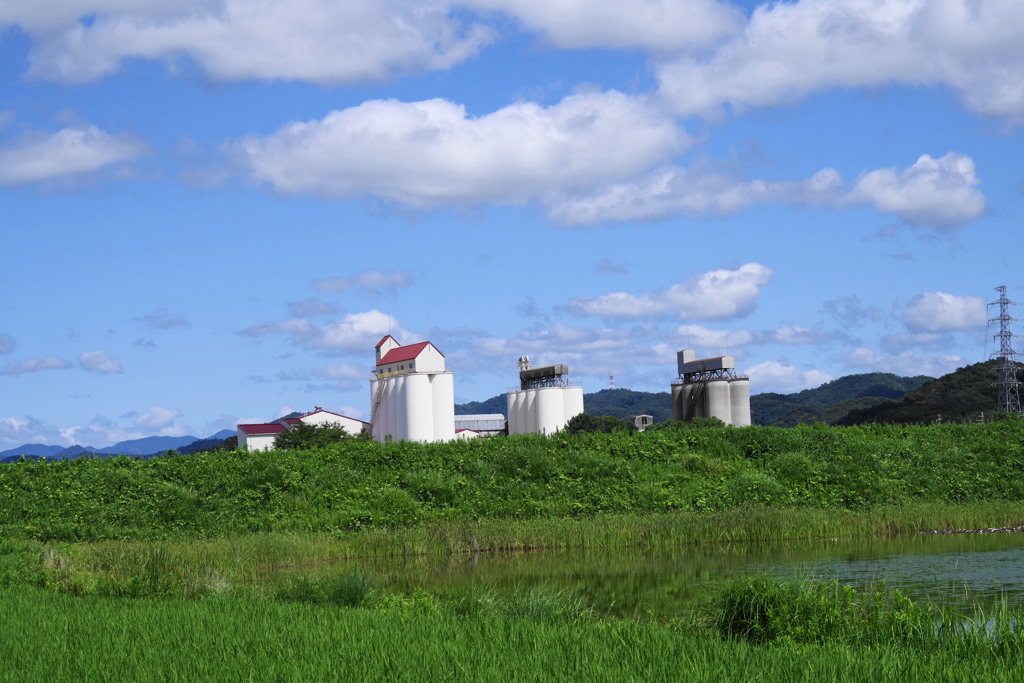 風景