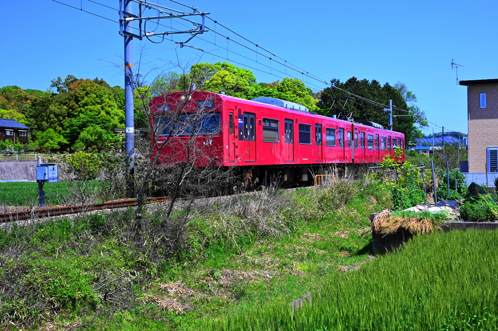 播但電車