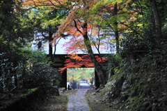 参道な風景