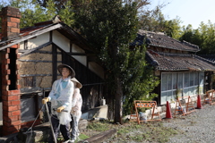 散策風景