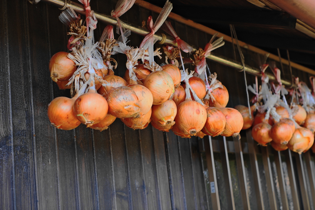 吊るしオニオン