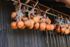 吊るしオニオン
