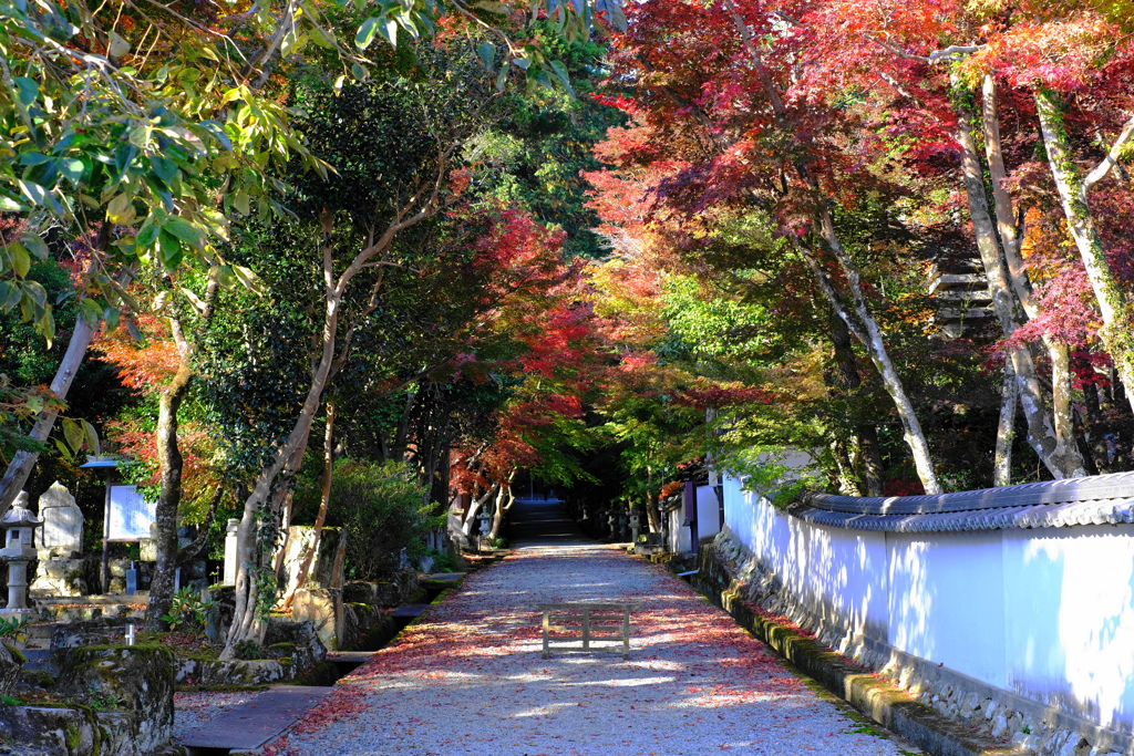 寺な参道