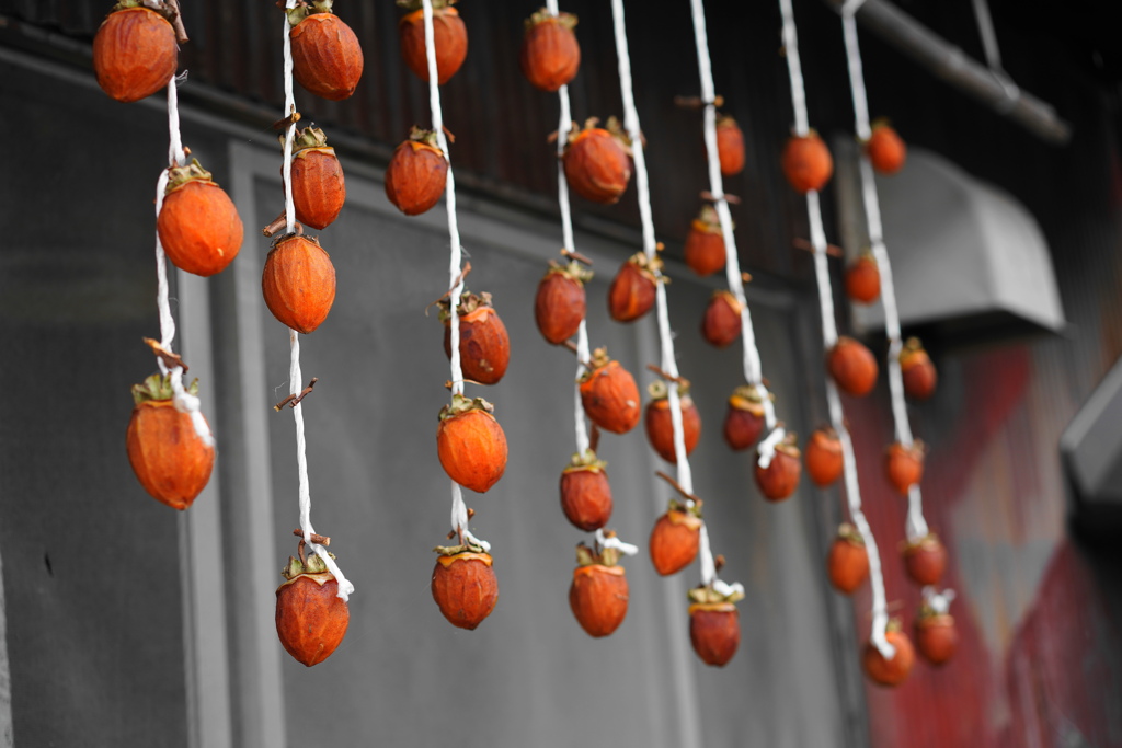 吊るし柿