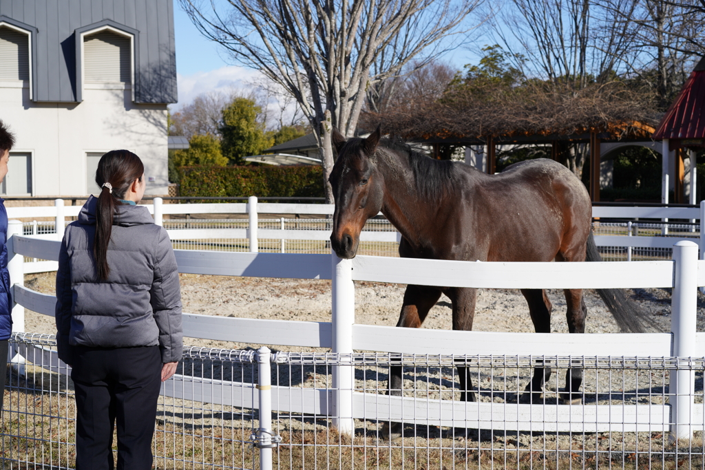 ホースランドパーク