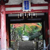 旬な風景