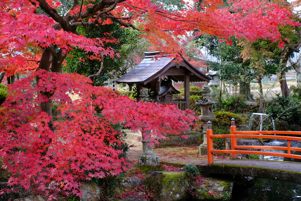 神社の境内景色