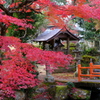 神社の境内景色