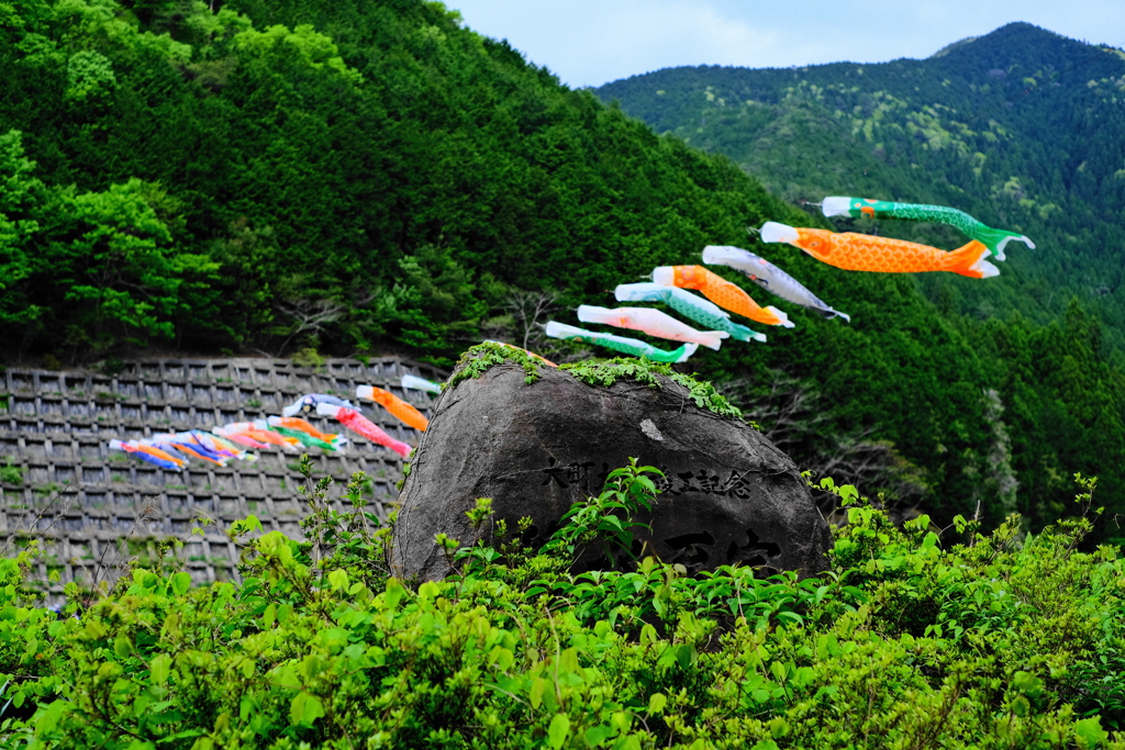 鯉のぼりな風景