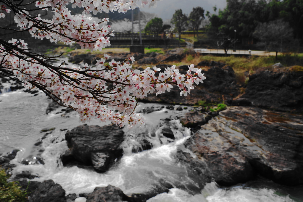 川代公園な景色