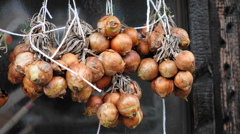 吊るしオニオン